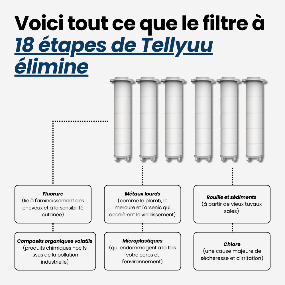 Pommeau de Douche Filtrant