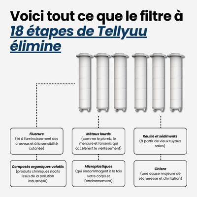 Pommeau de Douche Filtrant